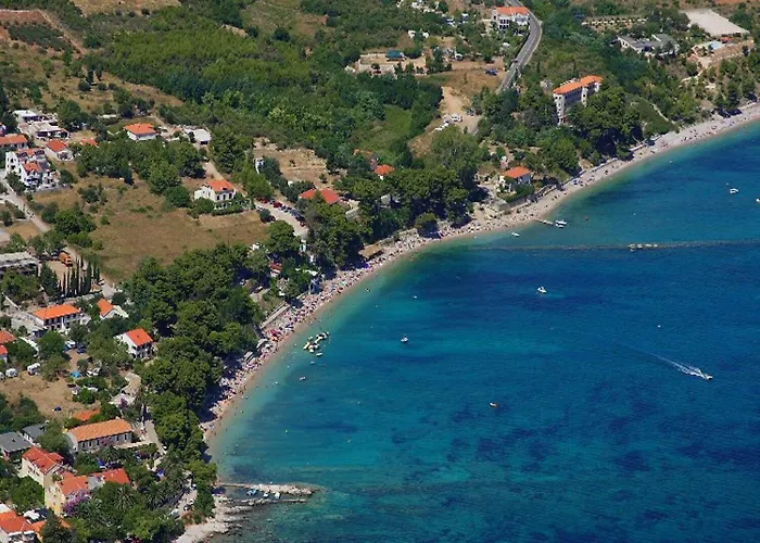 Zdravko *