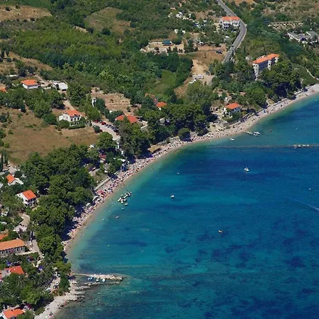 Zdravko *