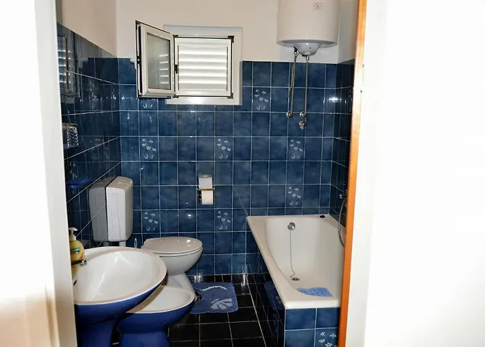 Zdravko * אורביץ