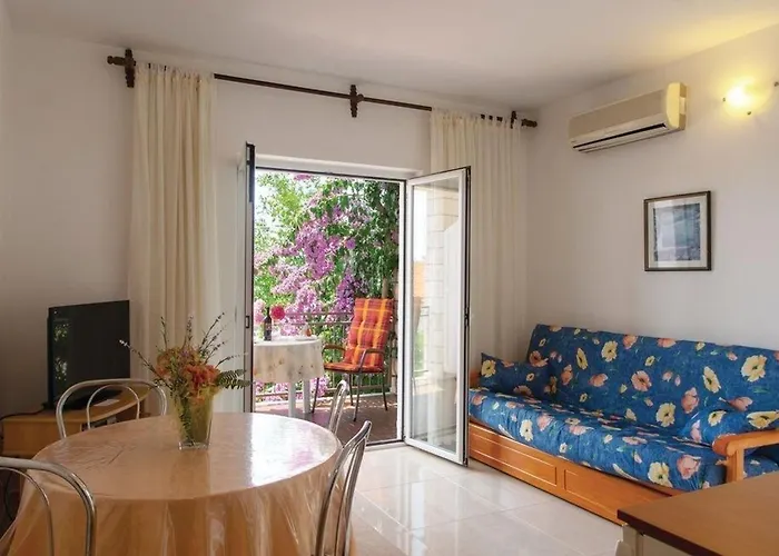 Zdravko * אורביץ